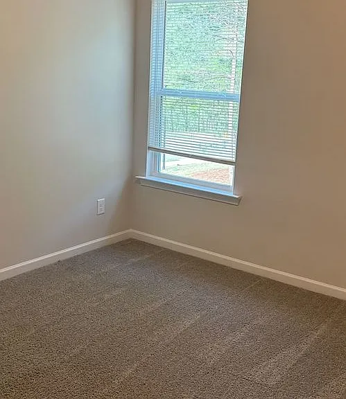 970 Laurel Cove Dr — Photo 11