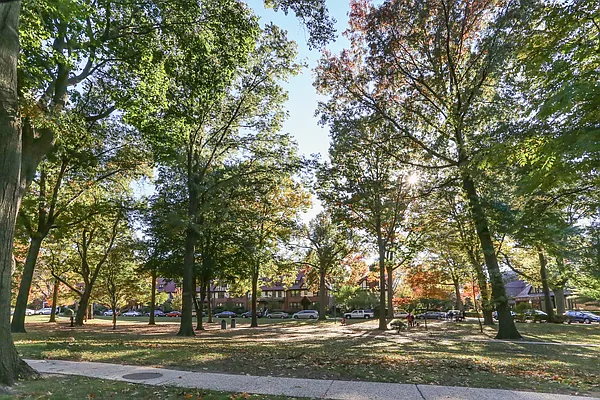 Sold by Terrace Sotheby's International Realty | media 25