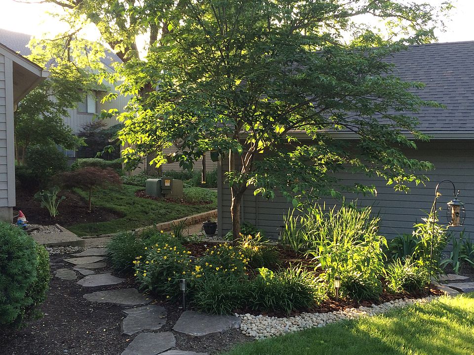 New landscaping 2015