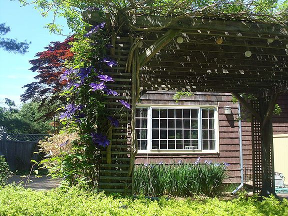 Pergola outside of kitchen