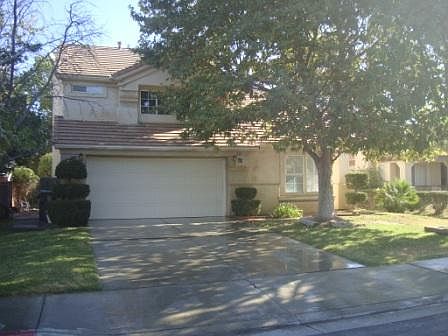Mature Shade Trees
