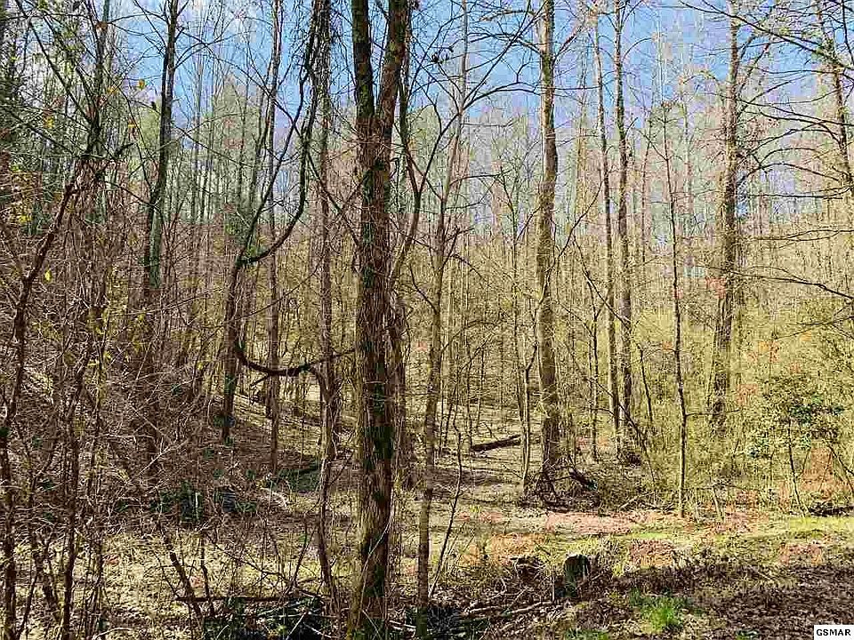 1st image of 9 Sulpher Springs Way Lot 9