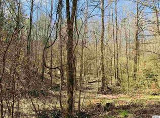 9 Sulpher Springs Way LOT 9, Sevierville, TN 37862