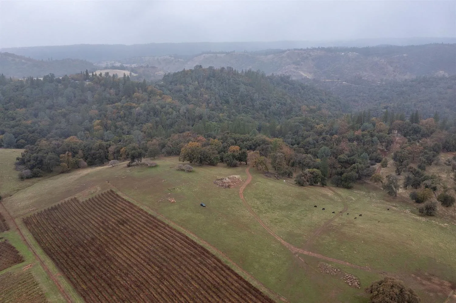 23400 Upton Rd photo 1