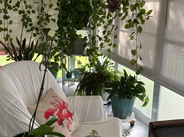 58 Woodland Dr APT 202