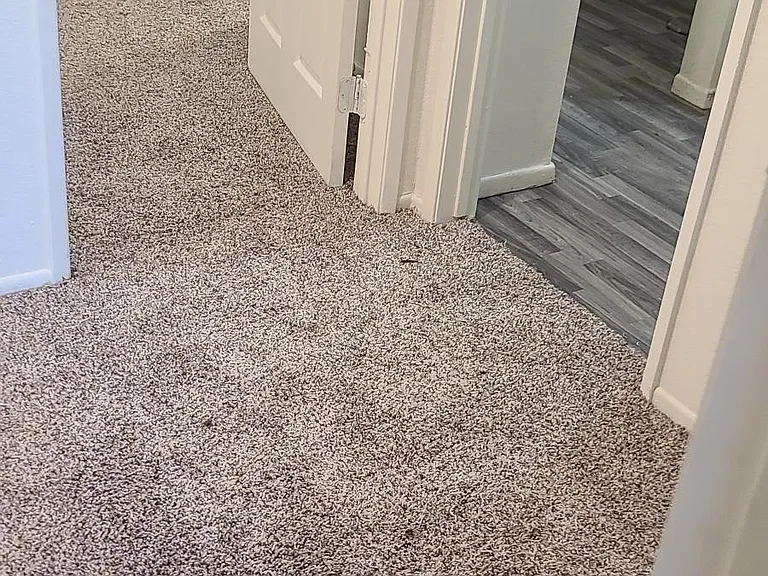 12745 Navajo Rd #2 — Photo 6