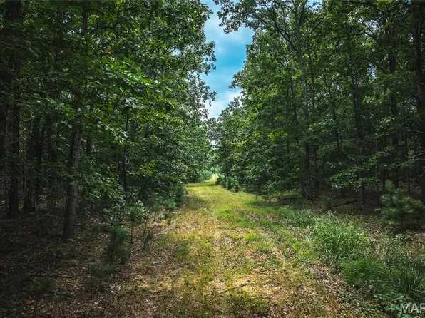 0 Highway Bb, Licking, MO 65542