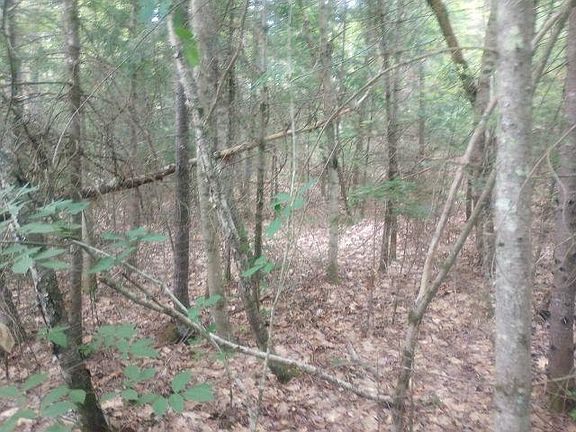 4th image of Swiftwater Circle #255