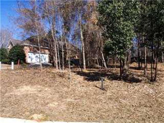 3rd image of 2335 Abbington Dr