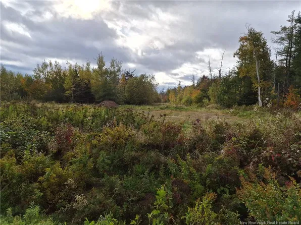 LOT Four Roads, Inkerman, NB E1X 2Z2