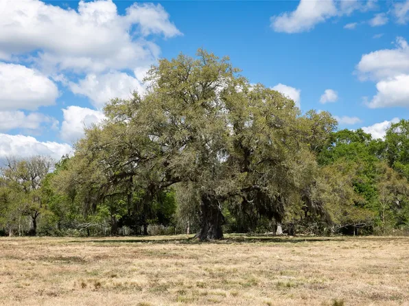 14.5 Acres Cres #320, Brazoria, TX 77422