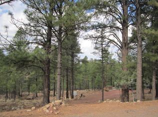 2816 Canyon View Dr, Happy Jack, AZ 86024