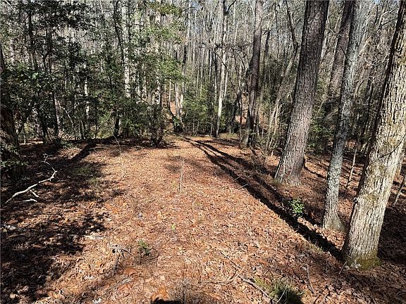 2nd image of 0 Golden Hickory Drive