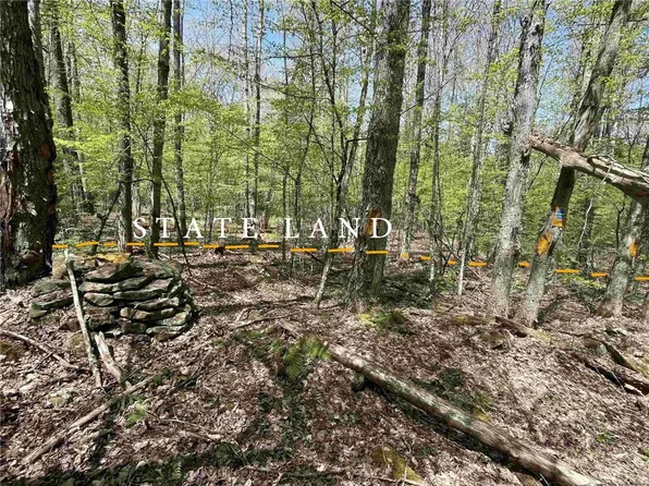 0 Tree Stand Ln, Jefferson, NY 12093