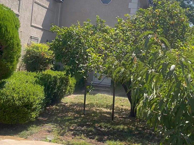 1147 S Westmoreland Ave #1 — Photo 1