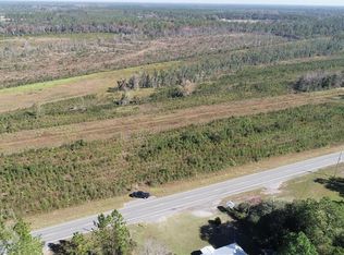 134.18 Acres Hwy #32, Hortense, GA 31543