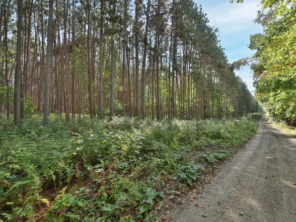 Ladyslipper Ln, Deerwood, MN 56444