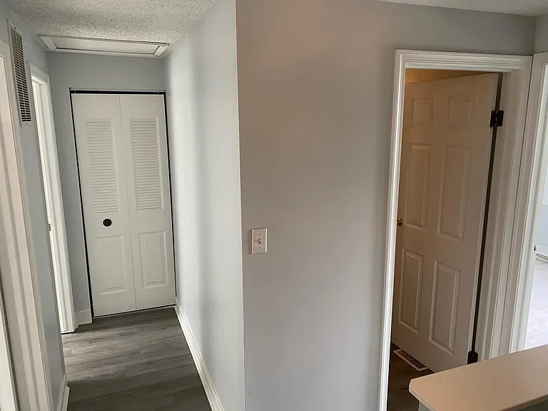9732 Springfield Woods Cir — Photo 41