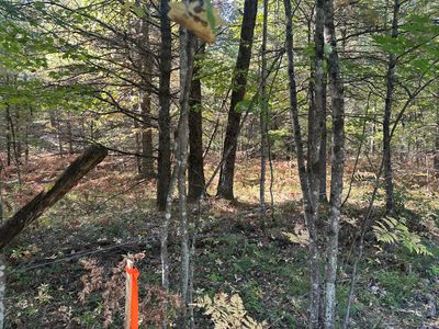 Par B 16th St, Baldwin, MI, 49304