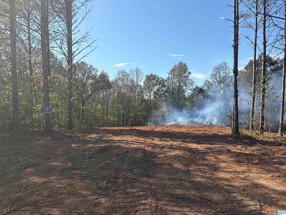 2nd image of 0 County Road 432 #3