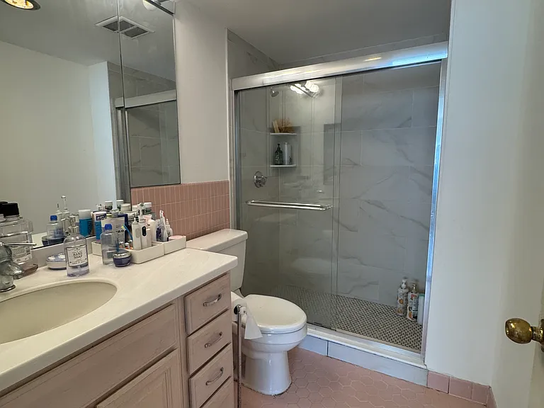 22 Chestnut Pl #501 — Photo 14
