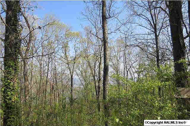 2nd image of 1526 Amber Ln