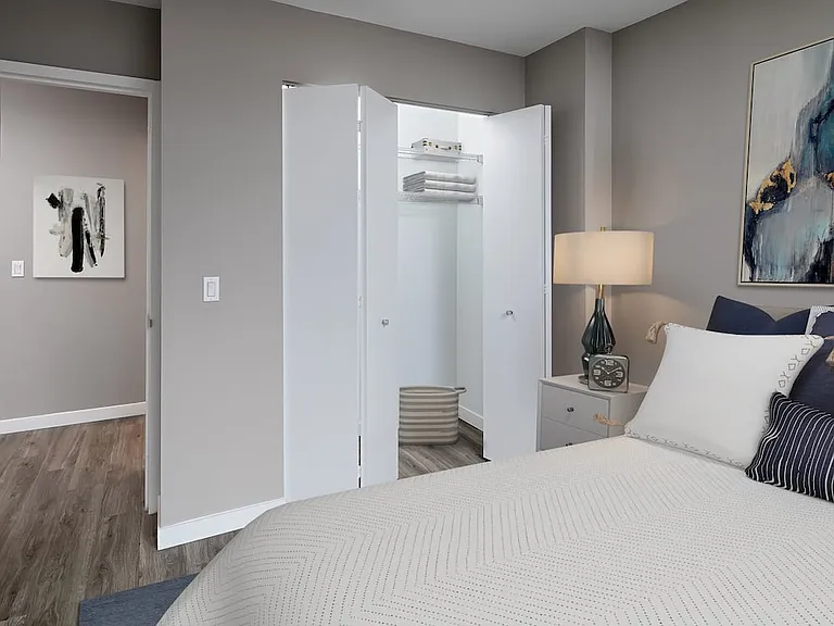 Renovated Package II bedroom closet