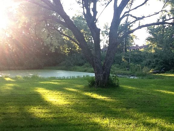 POND IN BACKYARD