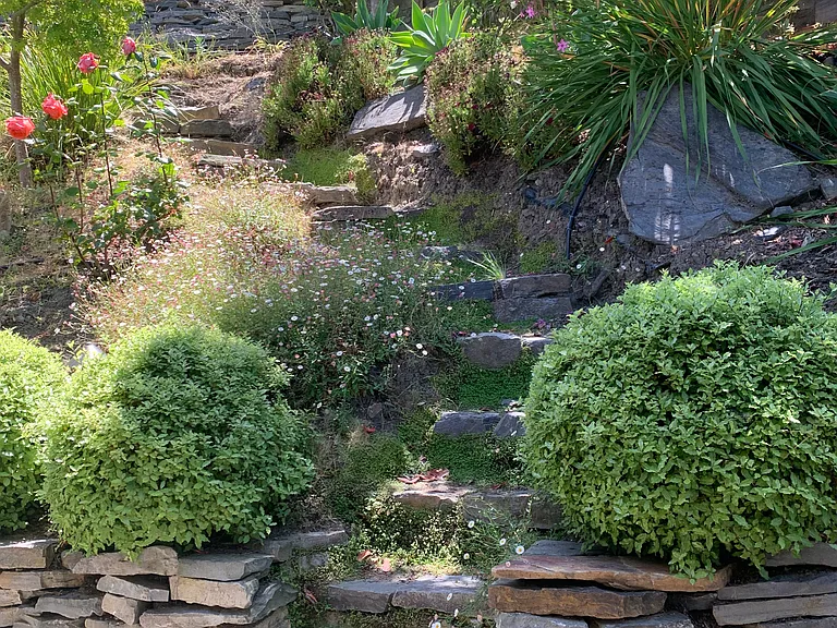Steps outside front door to fruit trees