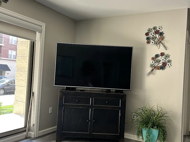 Living Room TV