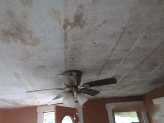 4th image of 127 E Union St