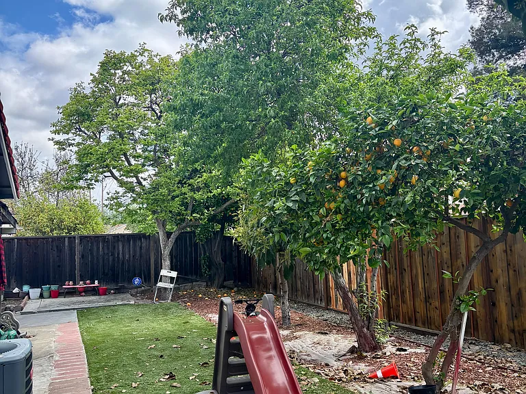 1598 Trieste Way — Photo 4