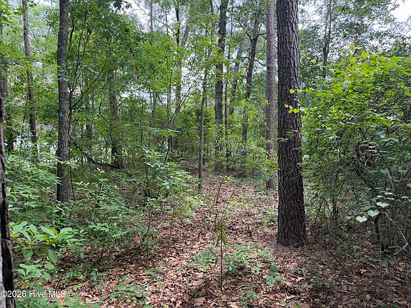 5th image of 118 Ferret Run Ln Lot 66