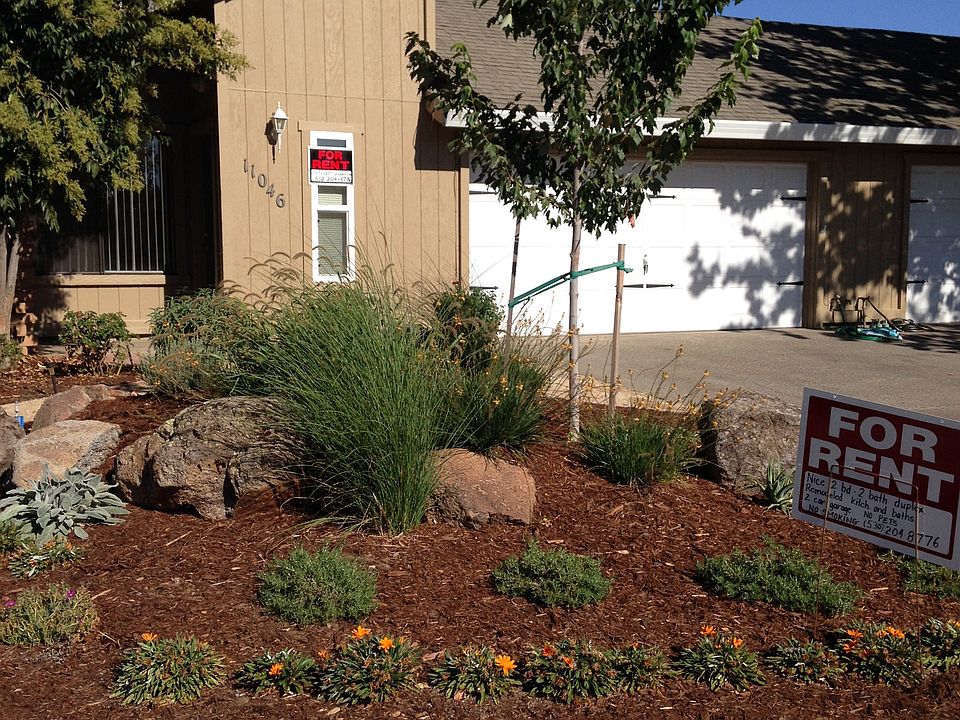 New drought tolerant landscaping front and back