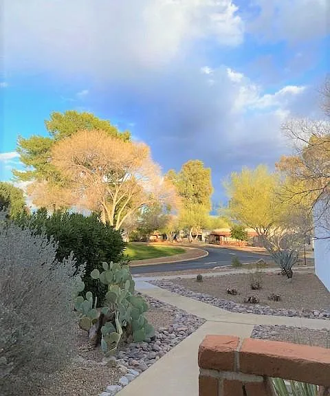 402 S Paseo Quinta #B — Photo 1