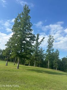 Bluff View Loop, Crossville, TN, 38571