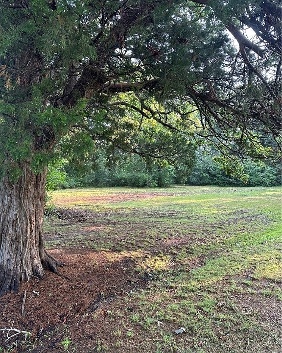 2nd image of 4971 E River Rd
