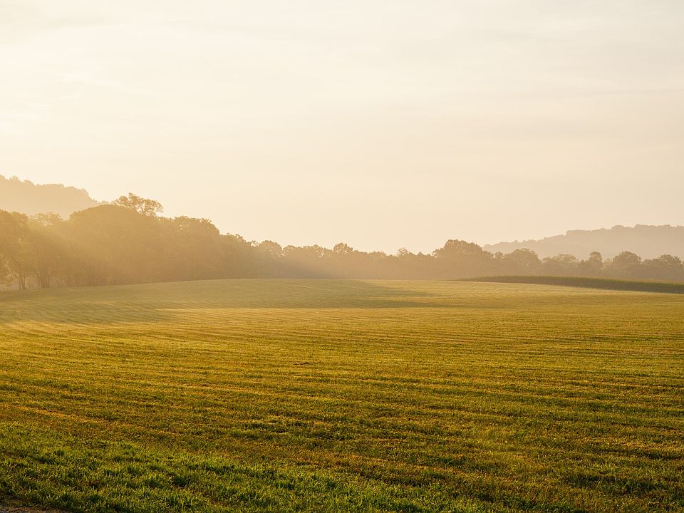 13th image of this home