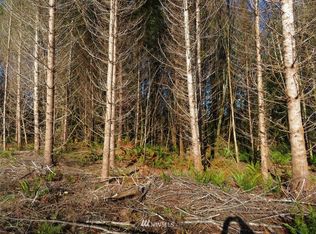 624 W 2nd St, Shelton, WA 98584