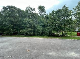 10663 McKenzie Rd, Bailey, NC 27807