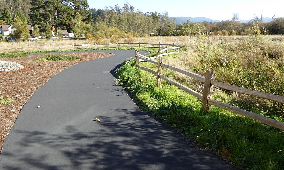 Walking trail behind building 305