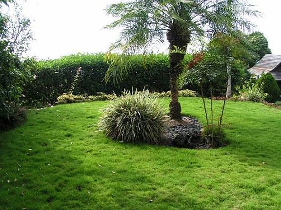Lawn