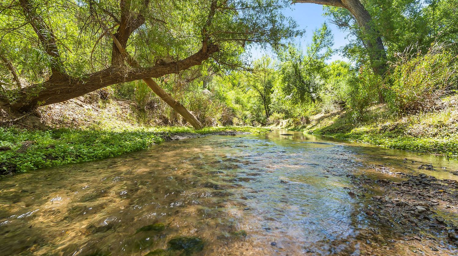 Barrio de Tubac by Evermore Homes in Tubac AZ Zillow