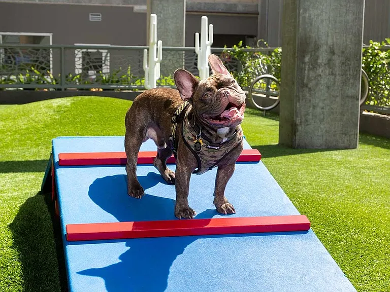 WAG Pet Park