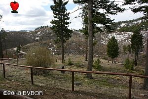 IMG_3418