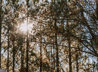 0 Hall Rd, Dublin, GA 31021