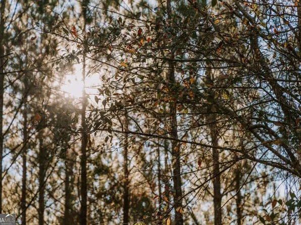 0 Hall Rd, Dublin, GA 31021