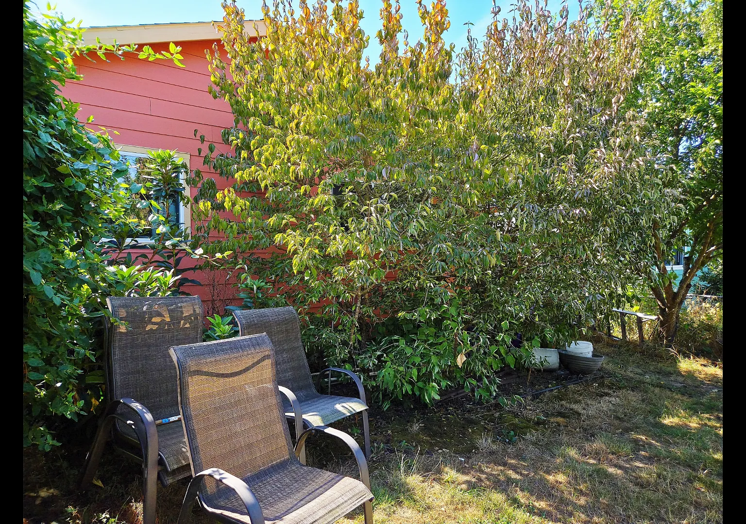 3 bed, 1.5 bath, 1300 sqft, $2,995 — Photo 3
