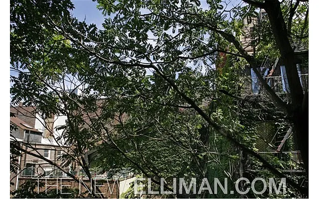 Rented by Douglas Elliman | media 23