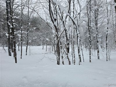 Swancott Mills Rd Lot 2, Taberg, NY, 13471